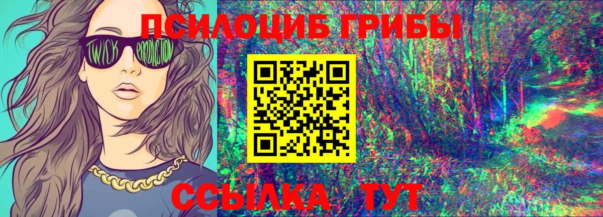 Балабаново  Псилоцибиновые грибы Psilocybe  Вход с VPN 
